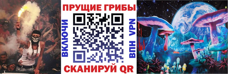 Псилоцибиновые грибы Psilocybe  Купить где  Курган